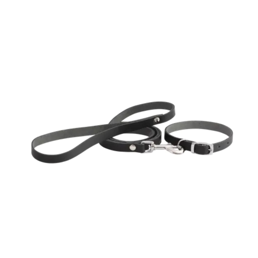 Beau Pets Puppy Leather Collar & Lead Set