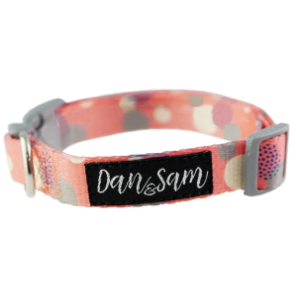 Dan & Sam Dog Adjustable Polyester Webbing Collar – Fabulous