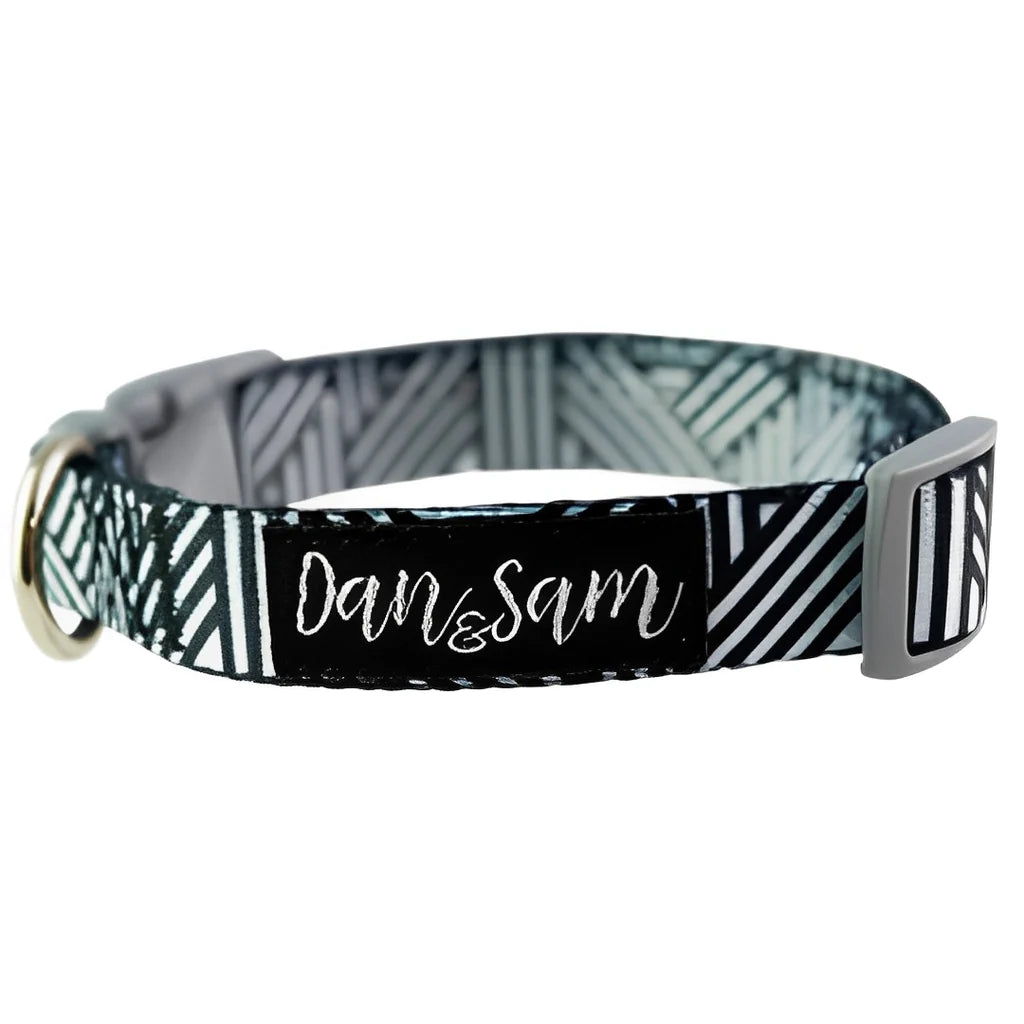 Dan & Sam Dog Adjustable Polyester Webbing Collar - Abstract