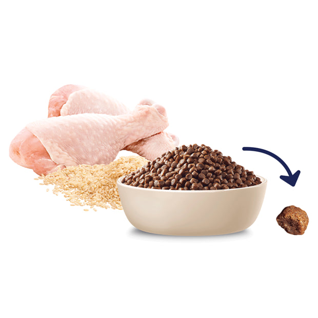 Advance Medium Breed Puppy Food Sensitive Skin & Digestion Turkey Recipe