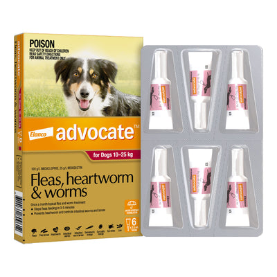 Advocate Fleas, Heartworm & Worms Treatment Dogs 10kg to 25kg (6 x 2.5ml Tubes)