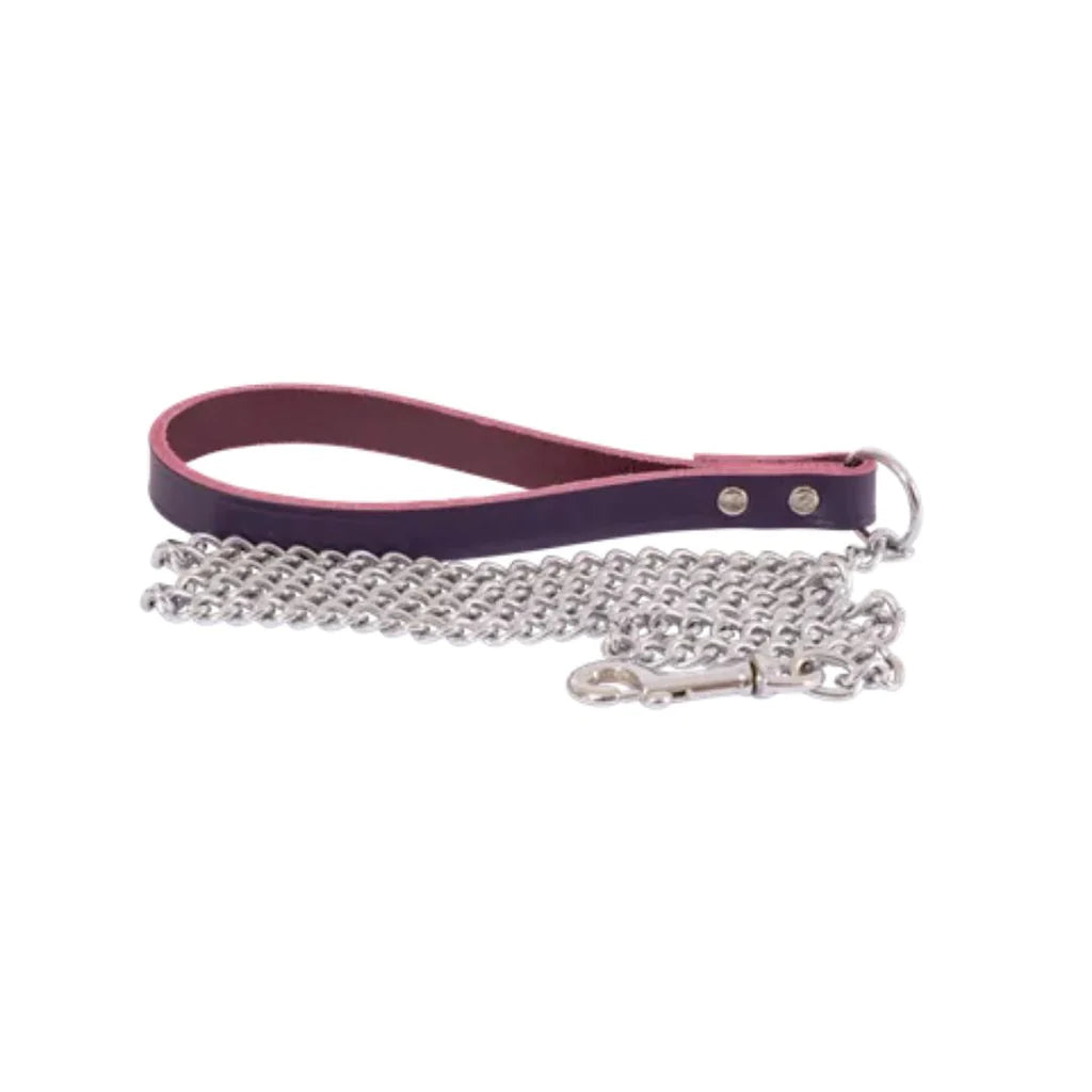 Beau Pets Dog Chain Lead with Leather Handle – Purple