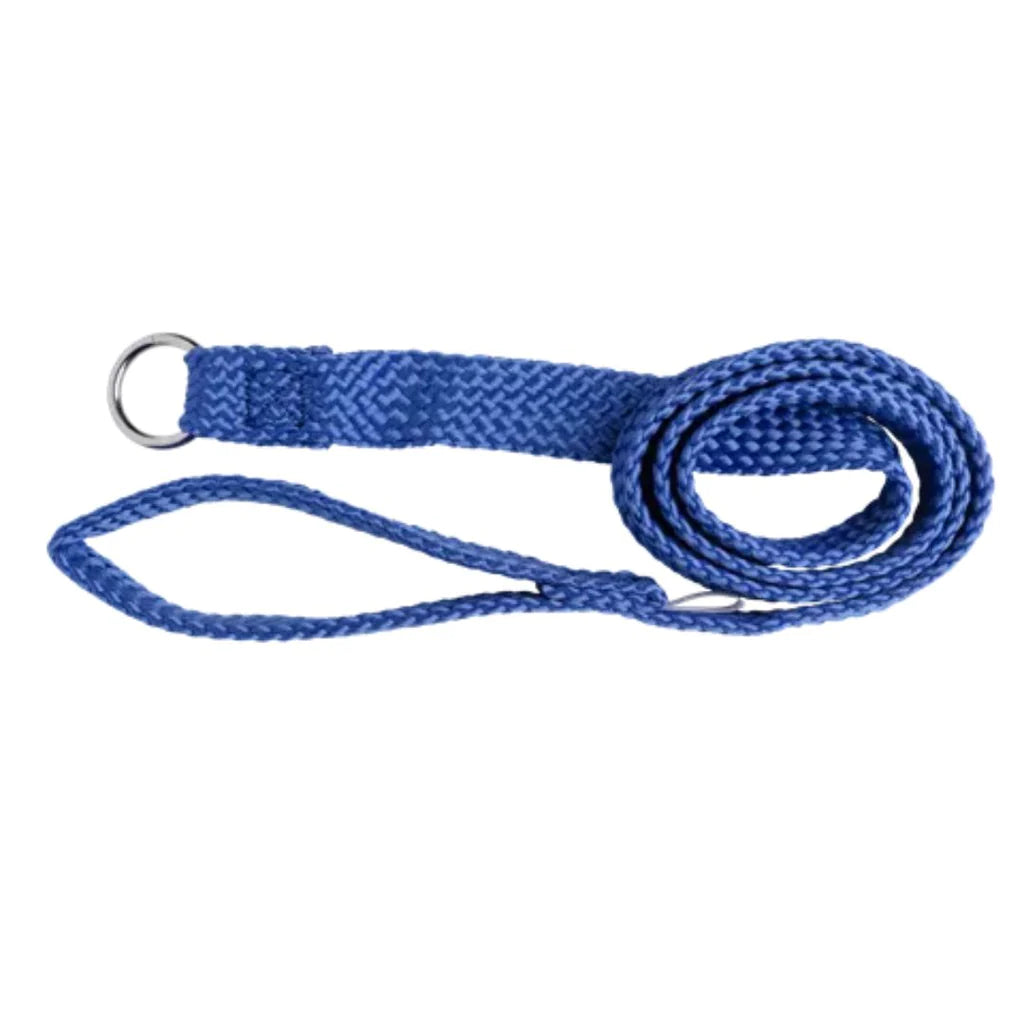 Beau Pets Dog Double Nylon Choker Lead – Blue