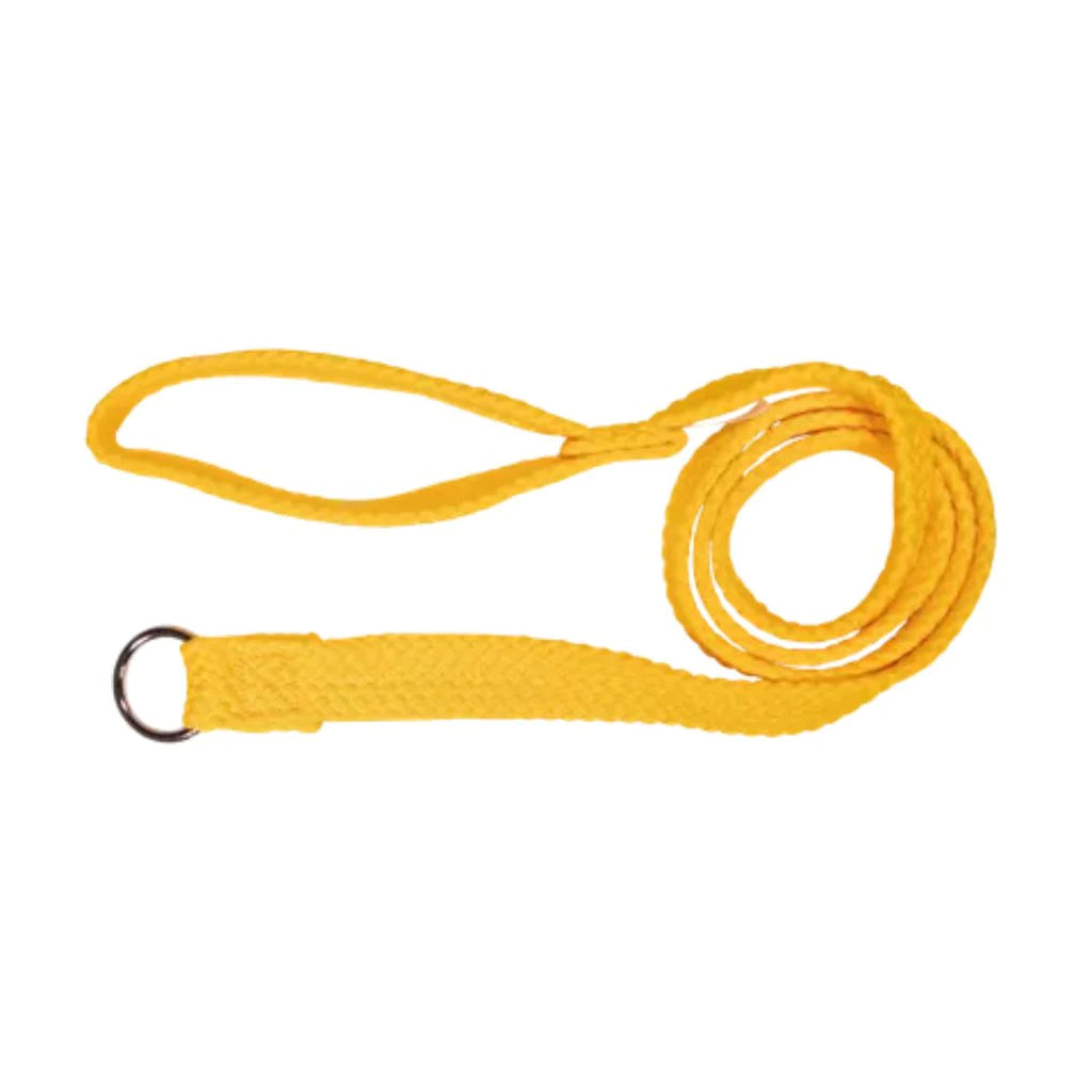 Beau Pets Dog Double Nylon Choker Lead – Gold