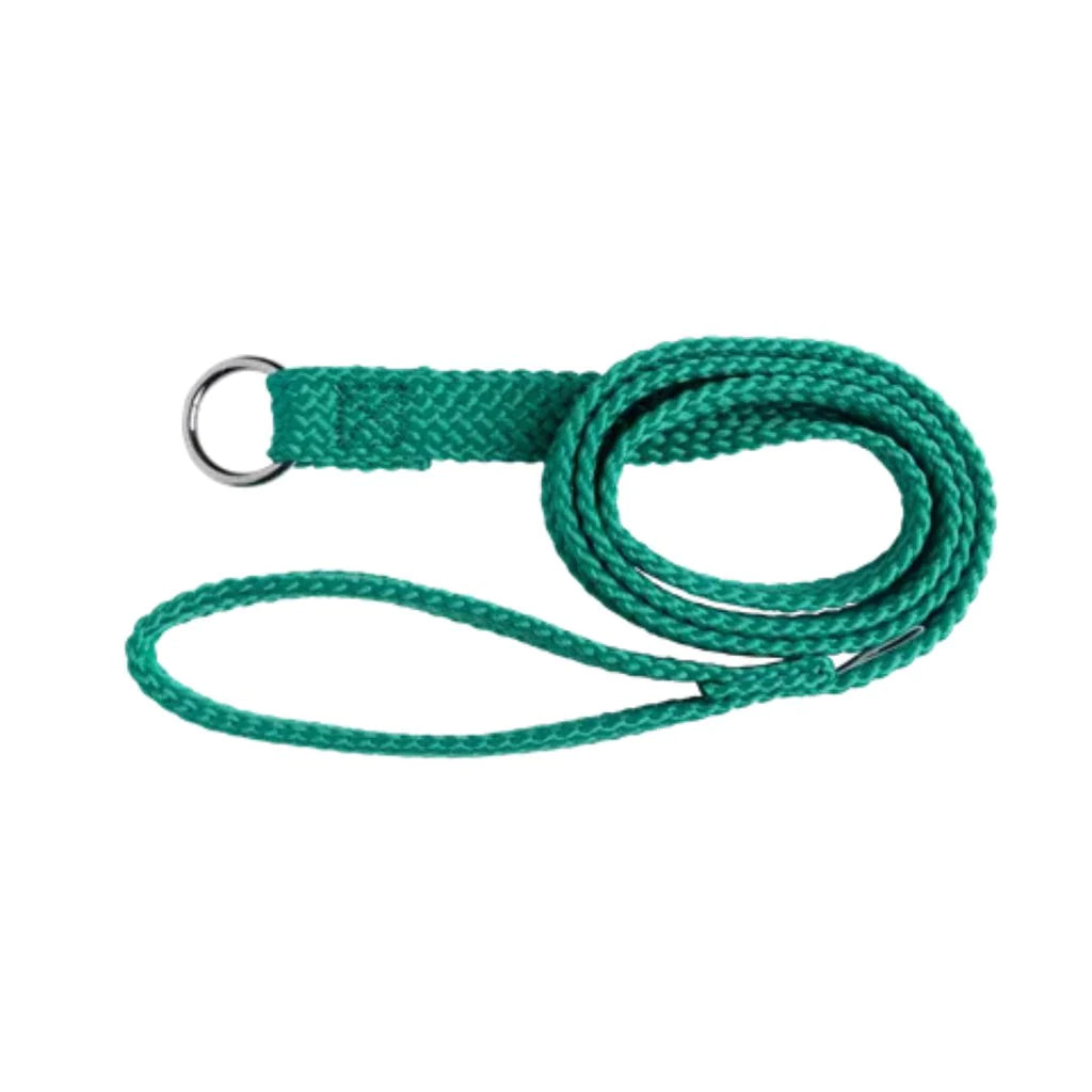 Beau Pets Dog Double Nylon Choker Lead – Green