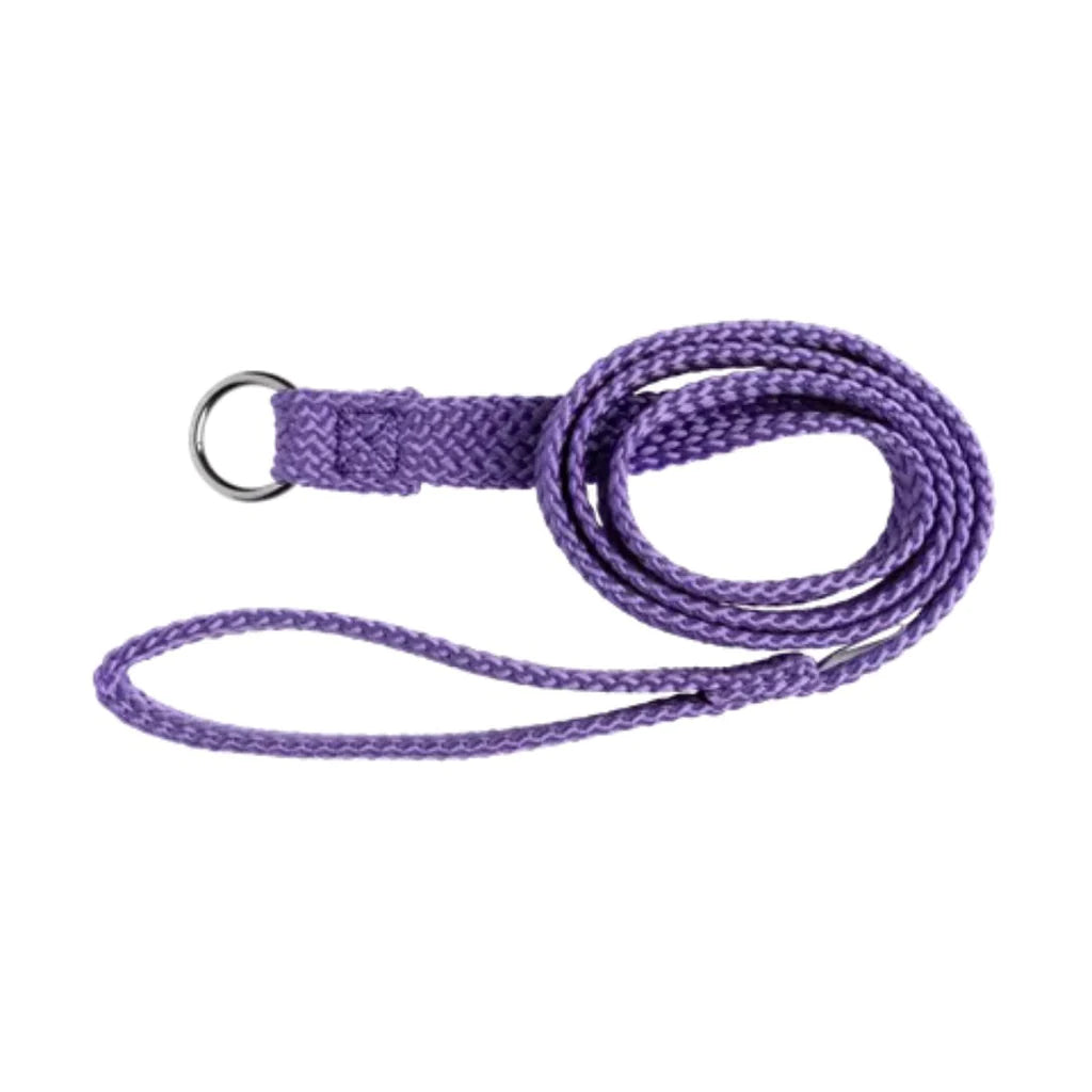 Beau Pets Dog Double Nylon Choker Lead – Purple