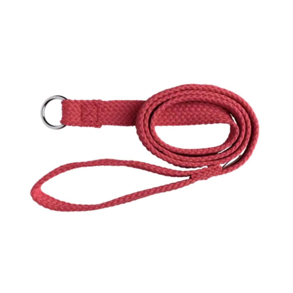 Beau Pets Dog Double Nylon Lead – Red