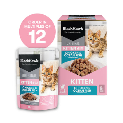 Black Hawk Pouches Kitten Wet Food Chicken & Ocean Fish in Gravy 12 x 85g