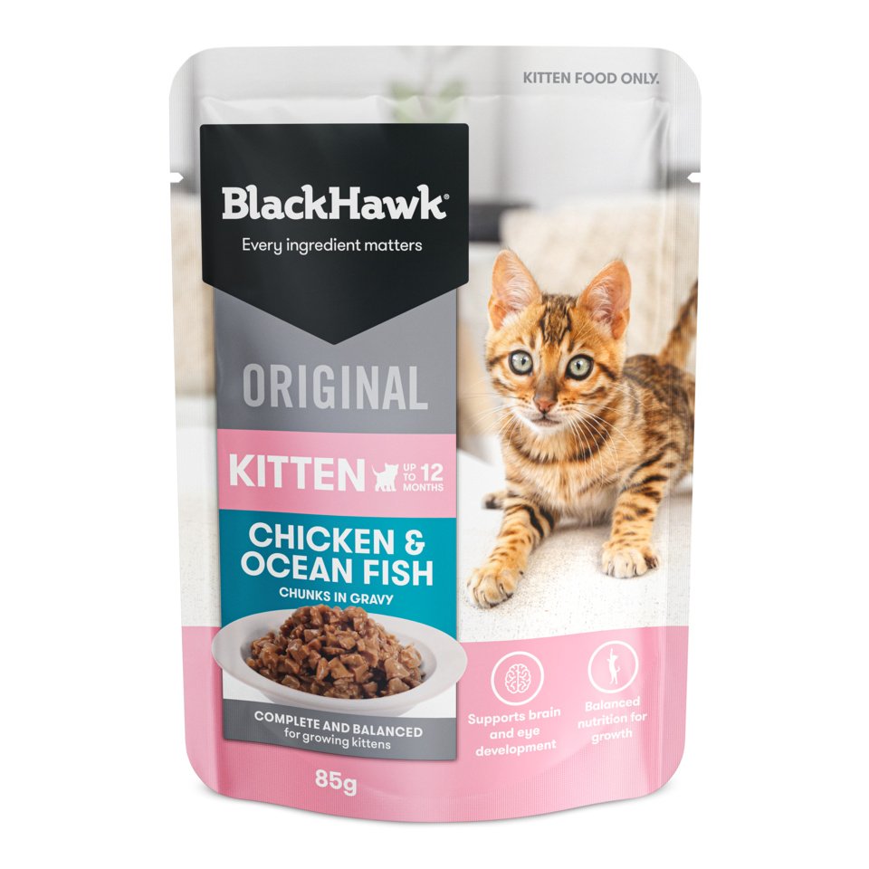 Black Hawk Pouches Kitten Wet Food Chicken & Ocean Fish in Gravy 12 x 85g