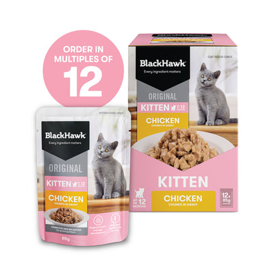 Black Hawk Pouches Kitten Wet Food Chicken in Gravy 12 x 85g