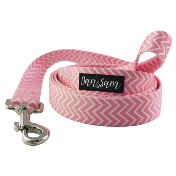 Dan & Sam Polyester Webbing Lead – Candy Floss