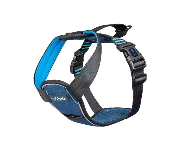 Company of Animals CarSafe Crash Tested Dog Harness - Blue