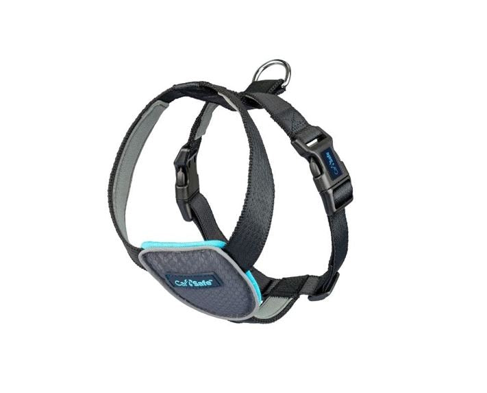 Company of Animals CarSafe Dog Travel Harness - Black