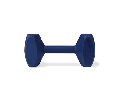 Company of Animals Coachi Training Dumbbell S/M/L