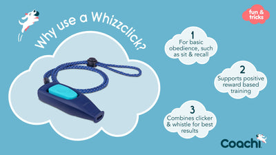 Company of Animals - Coachi Whizzclick Light Blue & Navy