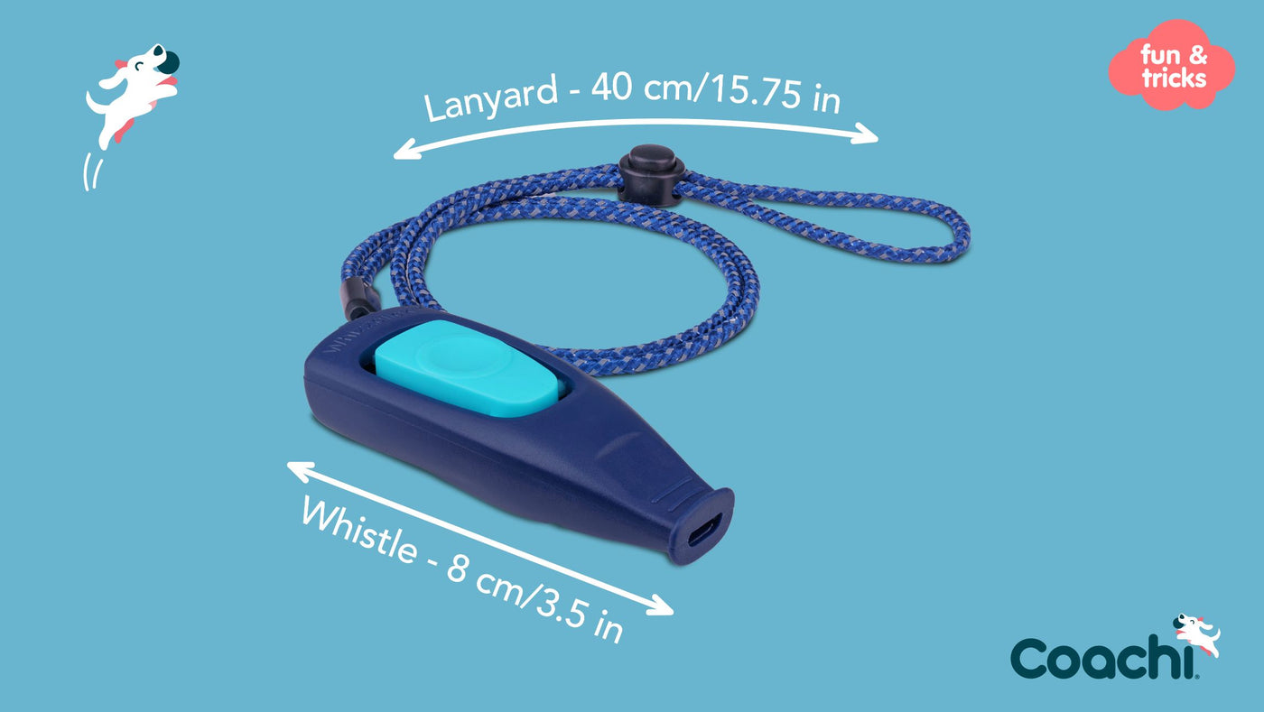 Company of Animals - Coachi Whizzclick Light Blue & Navy