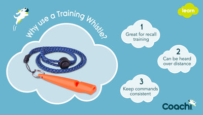 Company of Animals - Coachi Training Whistle