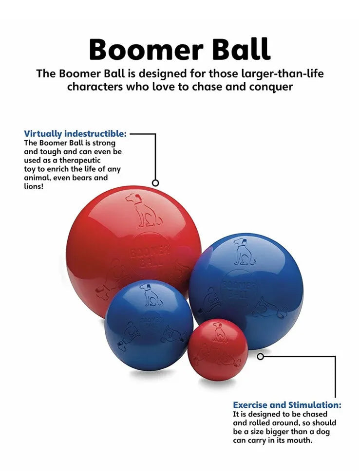 Company of Animals Boomer Ball Dog Toy