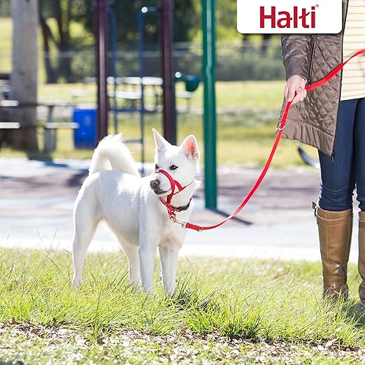 Company of Animals Halti Dog Large Active Lead - Red