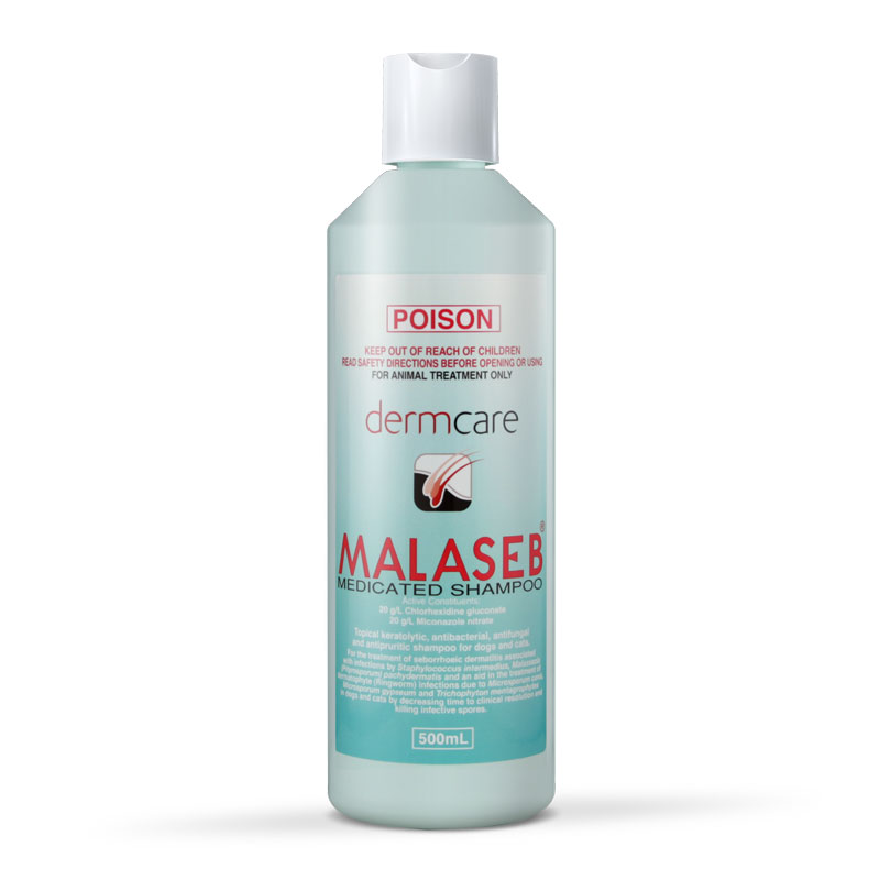 Dermcare Malaseb Medicated Dogs & Cats Shampoo - 500ml