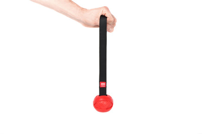 GiGwi GoFetch Dog Toy - Slinger Ball