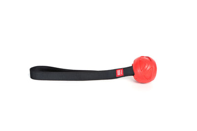 GiGwi GoFetch Dog Toy - Slinger Ball