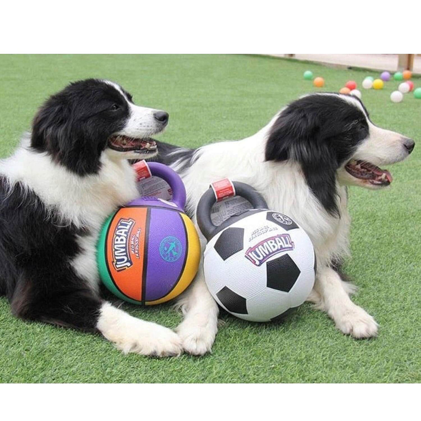 GiGwi Jumball Soccer Ball Dog Toy