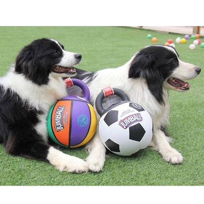 GiGwi Jumball Soccer Ball Dog Toy