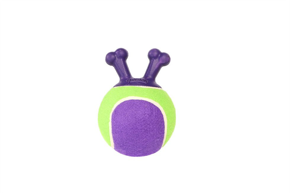 GiGwi Jumball Tennis Ball - Green/Purple