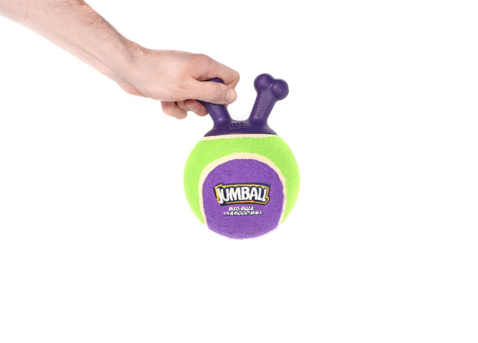 GiGwi Jumball Tennis Ball - Green/Purple