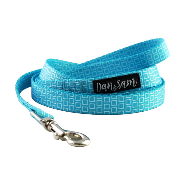 Dan & Sam Polyester Webbing Lead – Grooving