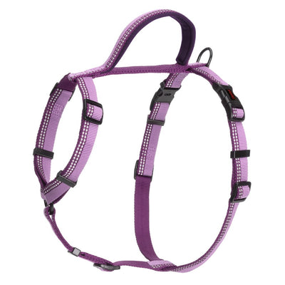 Company of Animals Halti Dog Large Walking Harness - Purple