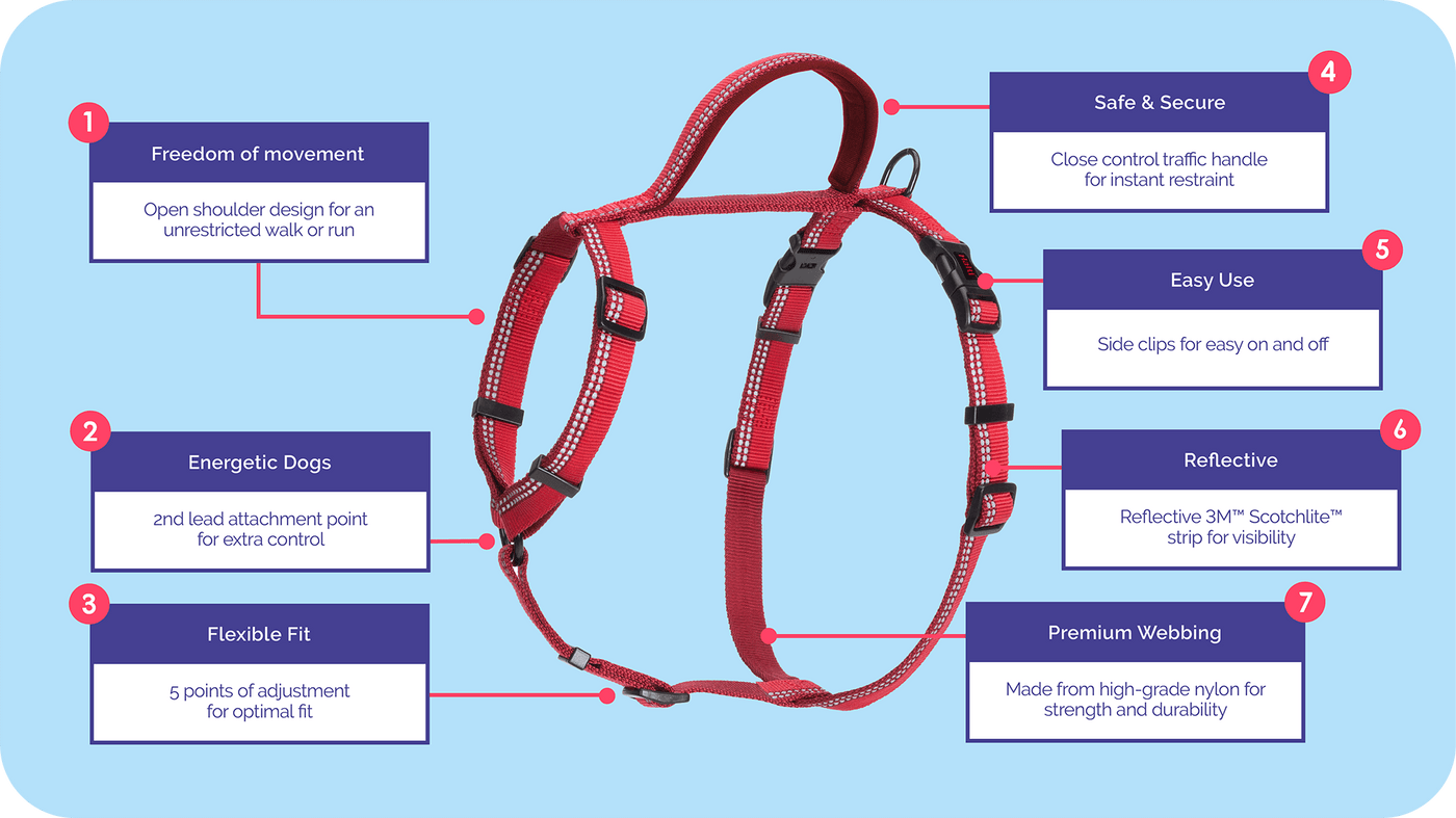 Company of Animals Halti Dog Large Walking Harness - Red