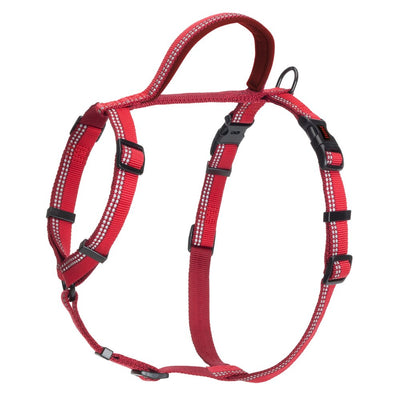 Company of Animals Halti Dog Large Walking Harness - Red