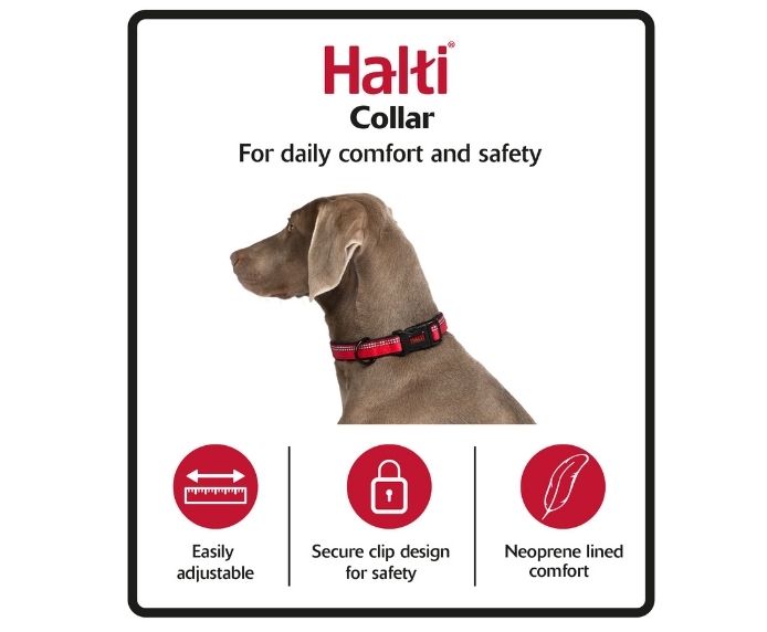 Company of Animals Halti Dog Red Comfort Collar (XS/S/M/L)