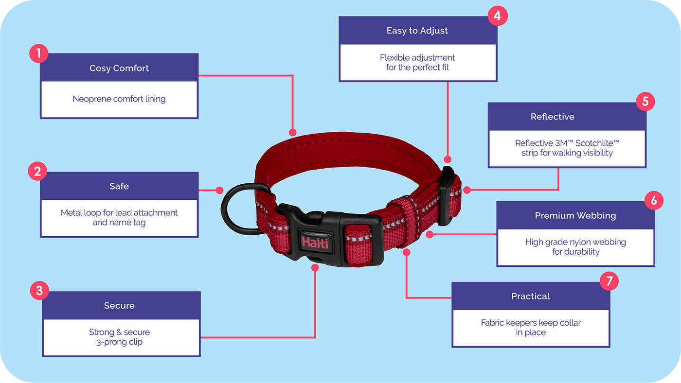 Company of Animals Halti Dog Red Comfort Collar (XS/S/M/L)