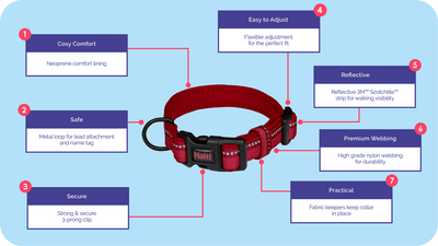 Company of Animals Halti Dog Red Comfort Collar (XS/S/M/L)