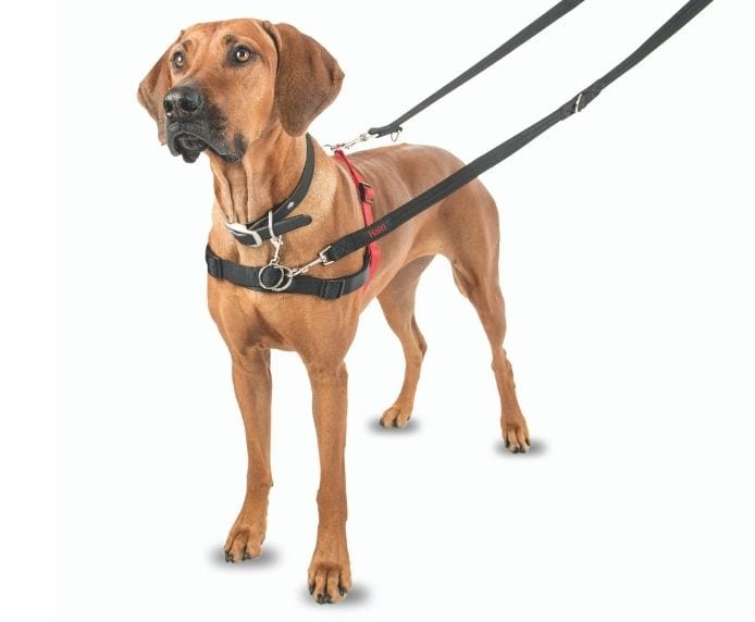 Company of Animals Halti Dog Front Control Red/Black Harness (S/M/L)