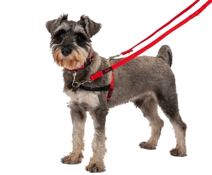 Company of Animals Halti Dog Front Control Red/Black Harness (S/M/L)