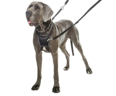 Company of Animals Halti Dog No Pull Harness (S/M/L)