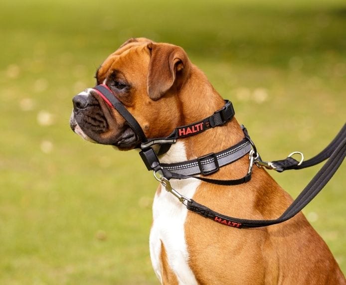 Company of Animals Halti Dog Optifit Headcollar (S/M/L)