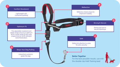 Company of Animals Halti Dog Optifit Headcollar (S/M/L)