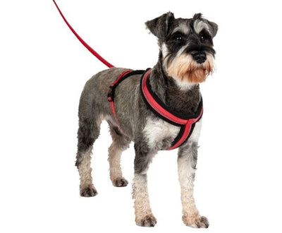 Company of Animals Halti Dog Red Comfy Harness - Extra Small