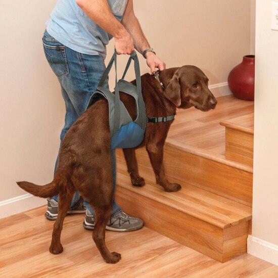 Kurgo Up & About Dog Lifter - Blue