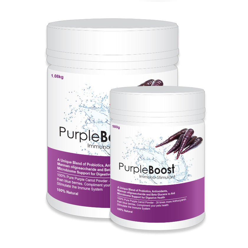 LifeWise Purple Boost Immuno Stimulant - 180g