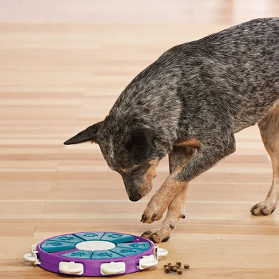 Outward Hound Nina Ottosson Dog Twister Puzzle - Purple