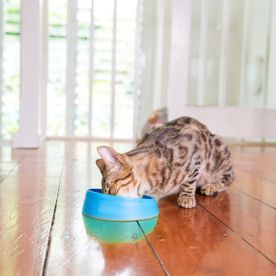 LickiMat OH Bowl For Cats