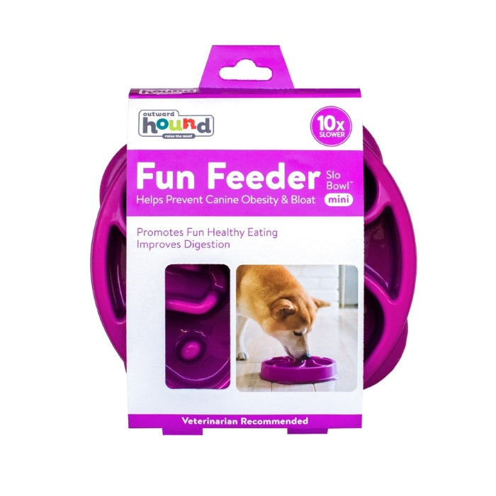 Outward Hound Fun Dog Feeder Slow Bowl - Mini