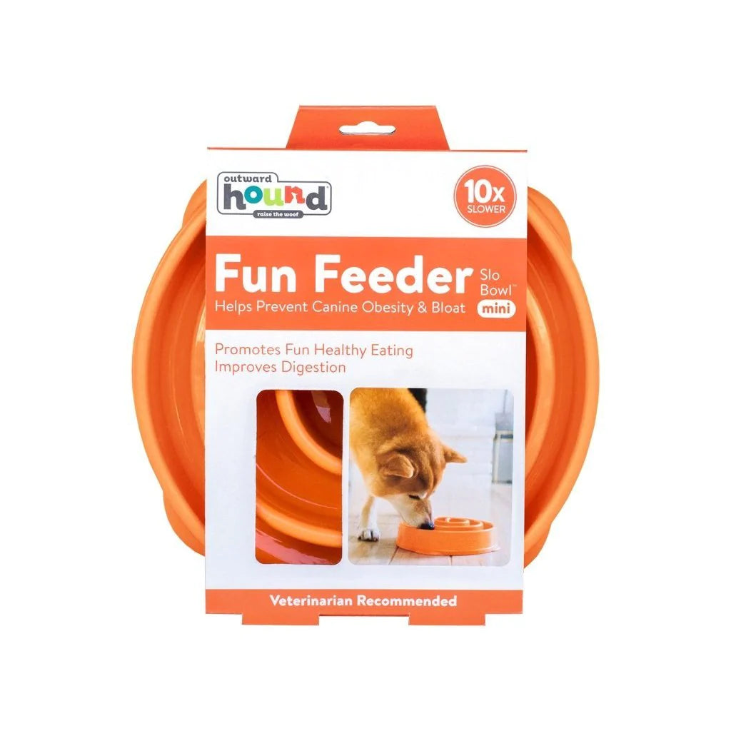 Outward Hound Fun Dog Feeder Slow Bowl - Mini