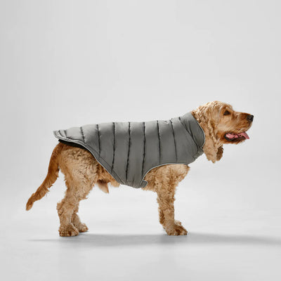 Snooza Wear Dog Puffer Sport - Graphite